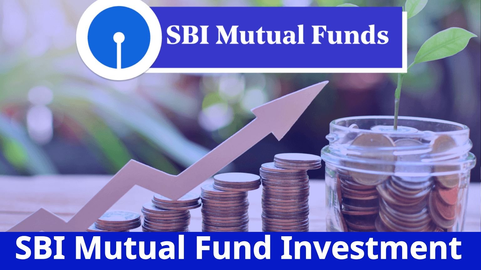 SBI Mutual Fund Investment 2025: Complete Guide for Beginners and Experts