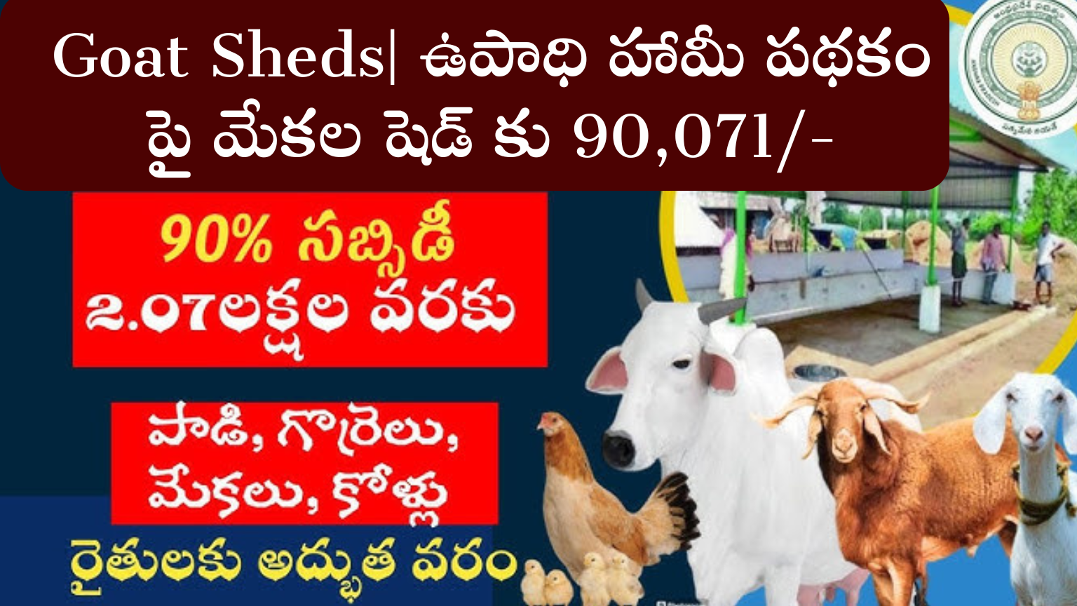 sheep shed subsidy in Andhra Pradesh and Telangana: