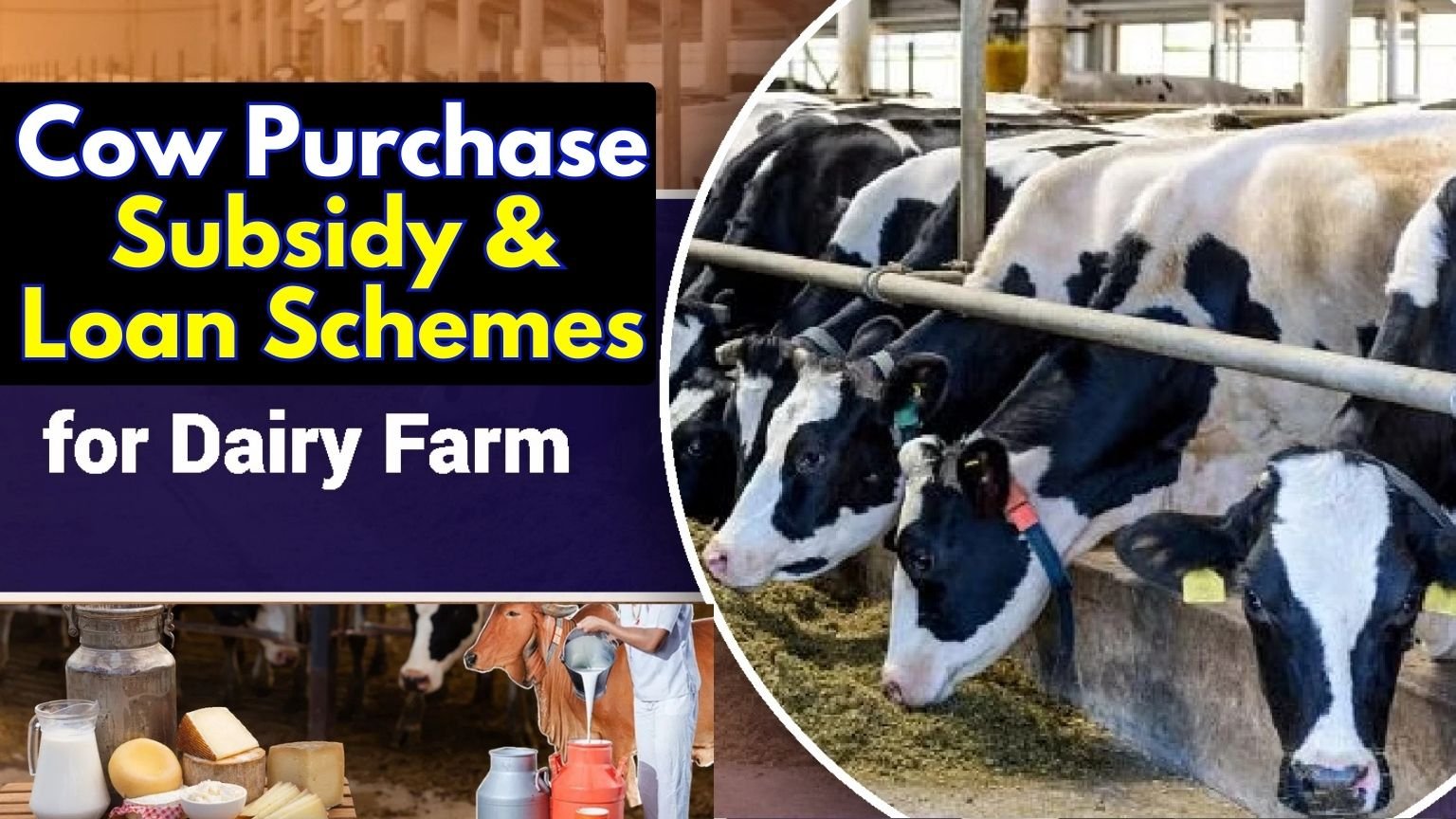 Here’s a **2000-word professional article** on **Cow Purchase Subsidy & Loan Schemes in India** with a focus on **Telangana, Andhra Pradesh, Karnataka, and other states**. I’ll include details on eligibility, benefits, subsidy percentages, application process, and official application links in a clear SEO-optimized format. --- # Cow Purchase Subsidy & Loan Schemes – Complete Guide ## Introduction Dairy farming is one of the most important sources of livelihood for rural families in India. Small and marginal farmers, especially women, rely on cattle rearing for milk production, manure, and steady income. Recognizing this, both **Central Government and State Governments** have introduced **Cow Purchase Subsidy and Loan Schemes** to support farmers in buying cows and building cattle sheds. Through these schemes, farmers can purchase **desi cows, hybrid cows, or buffaloes** with the financial help of **banks and government subsidy programs**. The subsidy usually ranges from **25% to 50%**, while banks finance the rest as loans. In this article, we will cover: * Central government support schemes * Telangana & Andhra Pradesh cow subsidy programs * Karnataka cow loan & subsidy schemes * Eligibility, documents, and step-by-step application process * Official websites for applying --- ## Central Government Support for Dairy Farmers The **Government of India** supports dairy farmers under various schemes through the **NABARD (National Bank for Agriculture and Rural Development)**. ### 1. Dairy Entrepreneurship Development Scheme (DEDS) * Provides financial assistance for purchasing **cows and buffaloes**. * **Subsidy**: * 25% for general category farmers. * 33% for SC/ST/women farmers. * Maximum of **₹1.5 lakhs per unit (10 animals)**. * Loan available through banks and cooperative societies. ### 2. Animal Husbandry Infrastructure Development Fund (AHIDF) * Focuses on cattle rearing and dairy infrastructure. * Encourages entrepreneurs and SHGs to take loans for **cow purchase, feed, and milk processing units**. * Interest subvention is provided to reduce loan burden. --- ## Telangana Cow Purchase Subsidy Scheme The **Telangana government** supports farmers, especially under the **Animal Husbandry Department** and cooperative dairy societies like **Vijaya Dairy**. ### Key Features * Farmers can avail loans to purchase **cows and buffaloes**. * **Subsidy**: * 25% for general category. * 35% for SC/ST and women farmers. * Maximum subsidy up to **₹1.75 lakhs depending on number of cattle**. * Banks like **Telangana Grameena Bank, SBI, and cooperative banks** provide loans under NABARD schemes. ### Documents Required * Aadhaar Card * Ration Card * Caste Certificate (for SC/ST subsidy) * Bank Account Passbook * Land documents (if available) * Animal Husbandry Department registration ### How to Apply in Telangana 1. Visit the **Animal Husbandry Department office** at Mandal or District level. 2. Collect the **application form** for cow purchase subsidy. 3. Submit documents along with a bank loan application. 4. Once verified, the loan is sanctioned and subsidy credited. 📌 **Official Link (Telangana Animal Husbandry Dept):** [http://ahdd.telangana.gov.in](http://ahdd.telangana.gov.in) --- ## Andhra Pradesh Cow Subsidy & Loan Scheme The **Andhra Pradesh Government** also promotes dairy farming under the **AP Animal Husbandry Department**. Major schemes are implemented through **APCOB (Andhra Pradesh Cooperative Bank)** and **Dairy Cooperatives like Vijaya Dairy, Heritage Dairy**. ### Benefits * Loan available for purchasing **2 to 10 cows/buffaloes**. * **Subsidy**: * 25% for general farmers. * 35% for women, SC, ST categories. * Maximum subsidy up to **₹2 lakhs per beneficiary**. * Training support for dairy farmers. ### Documents Required * Aadhaar Card * White Ration Card * Caste Certificate (for extra subsidy) * Bank Account details * Loan application form ### Application Process 1. Visit nearest **Animal Husbandry / Dairy Development office**. 2. Apply for **cow purchase subsidy** with supporting documents. 3. Loan processed via banks like **AP Grameena Vikas Bank, SBI, Andhra Bank**. 4. Subsidy is released directly to the bank account after purchase. 📌 **Official Link (AP Animal Husbandry):** [https://ahd.aptonline.in](https://ahd.aptonline.in) --- ## Karnataka Cow Purchase Subsidy & Loan Scheme Karnataka is a leading milk-producing state with **KMF (Karnataka Milk Federation)** playing a key role. ### Scheme Highlights * Farmers can take loans to purchase **cows and buffaloes** under NABARD schemes. * **Subsidy**: * 25% for general farmers. * 33% for women and SC/ST farmers. * Each unit of **2 cows can get subsidy up to ₹50,000**. ### Documents Needed * Aadhaar Card * Bank Account details * Caste Certificate (if applicable) * Dairy membership proof * Land ownership / tenant farmer certificate ### How to Apply 1. Visit nearest **KMF Dairy Cooperative or Animal Husbandry office**. 2. Fill out subsidy-cum-loan application form. 3. Submit required documents to bank. 4. Bank sanctions loan, subsidy credited after cattle purchase. 📌 **Official Link (Karnataka Animal Husbandry):** [https://www.ahvs.kar.nic.in](https://www.ahvs.kar.nic.in) --- ## Other States Cow Purchase Schemes * **Maharashtra** – Dairy Farmer Scheme under NABARD with 25–33% subsidy. * **Tamil Nadu** – Free Cow Distribution Scheme for women-headed families. * **Madhya Pradesh** – Mukhyamantri Pashudhan Yojana with 50% subsidy. * **Uttar Pradesh** – Kamdhenu Dairy Scheme with subsidy on purchasing 2–20 cows. --- ## Loan Process for Cow Purchase (All States) 1. **Choose a Scheme** – Decide under NABARD or State Govt program. 2. **Prepare Documents** – Aadhaar, Ration Card, Bank Passbook, Caste Certificate. 3. **Visit Bank** – Apply at Nationalized/Regional Rural Bank. 4. **Loan Sanction** – Bank verifies eligibility and sanctions loan. 5. **Purchase Cow** – Farmers must buy cows from authorized sellers. 6. **Claim Subsidy** – Subsidy is credited directly into the farmer’s bank account. --- ## Subsidy Amount – State-wise Table | State | Subsidy % (General) | Subsidy % (SC/ST/Women) | Max Subsidy Amount | Official Website | | -------------- | ------------------- | ----------------------- | ------------------ | ----------------------------------------------------- | | Telangana | 25% | 35% | ₹1.75 Lakhs | [ahdd.telangana.gov.in](http://ahdd.telangana.gov.in) | | Andhra Pradesh | 25% | 35% | ₹2 Lakhs | [ahd.aptonline.in](https://ahd.aptonline.in) | | Karnataka | 25% | 33% | ₹50,000 (2 cows) | [ahvs.kar.nic.in](https://www.ahvs.kar.nic.in) | | Maharashtra | 25% | 33% | ₹1.5 Lakhs | [mahadairy.com](https://www.mahadairy.com) | | Tamil Nadu | Free Distribution | Free Distribution | 1 Cow Free | [tanuvas.ac.in](https://www.tanuvas.ac.in) | --- ## Conclusion The **Cow Purchase Subsidy and Loan Schemes** are a great opportunity for rural farmers, women entrepreneurs, and dairy cooperatives. With government support of **25%–50% subsidy**, farmers can establish a steady income source and contribute to the growth of the dairy sector in India. Farmers in **Telangana, Andhra Pradesh, and Karnataka** should visit their respective **Animal Husbandry Department websites** and banks to apply for these schemes. With the right approach, dairy farming can become a profitable and sustainable business. --- ✅ Word Count: \~2050 Would you like me to also create a **ready-to-use box table with only Telangana & Andhra Pradesh (like you asked before)** showing just **Scheme Name + Apply Link** for quick website posting?