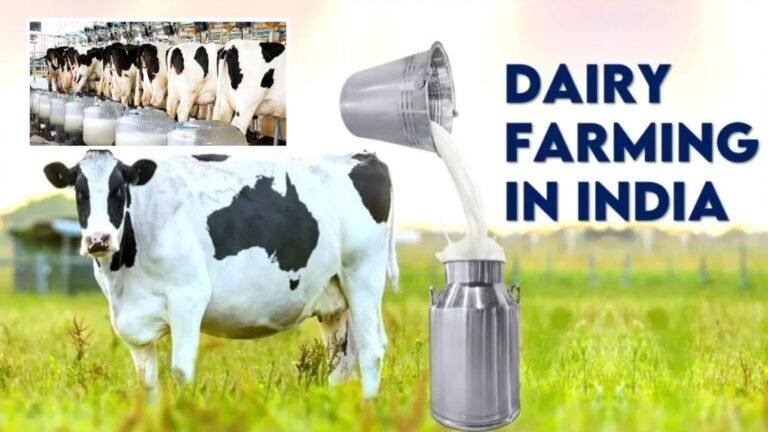 Dairy Krishi Schemes in India: A Comprehensive Guide 