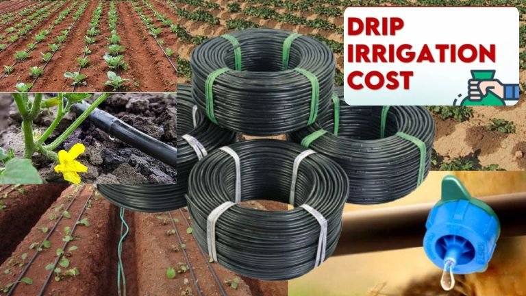 Drip Irrigation Subsidy in India: Complete Guide for Farmers