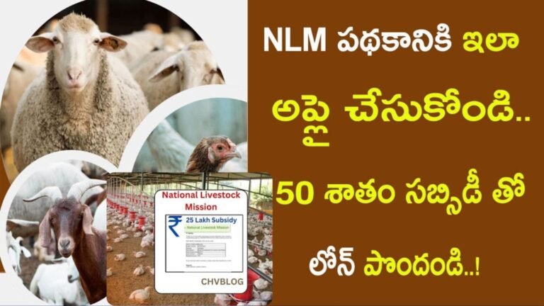 National Livestock Mission (NLM)