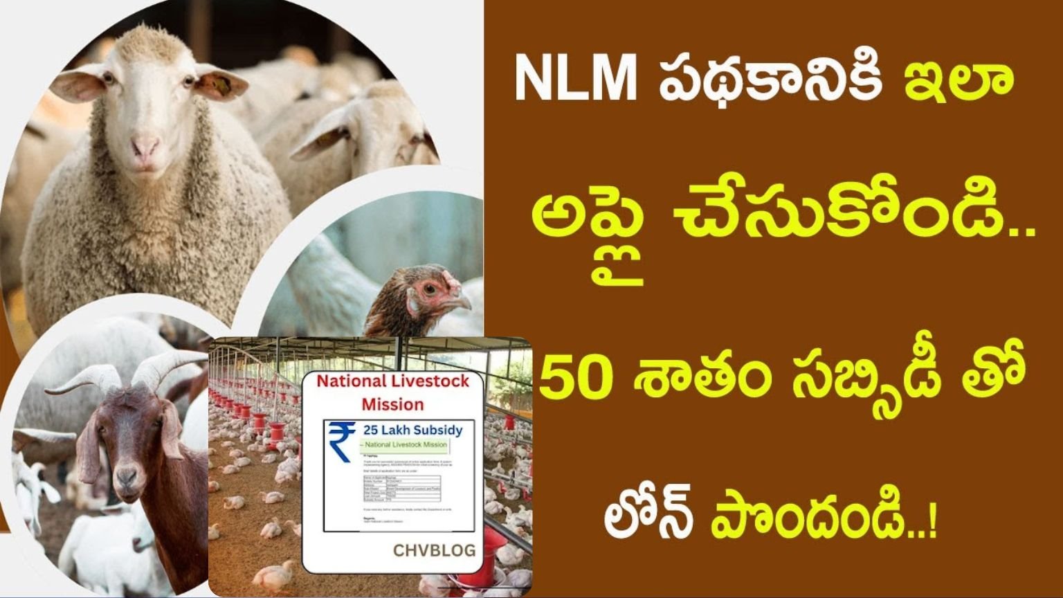 National Livestock Mission (NLM)