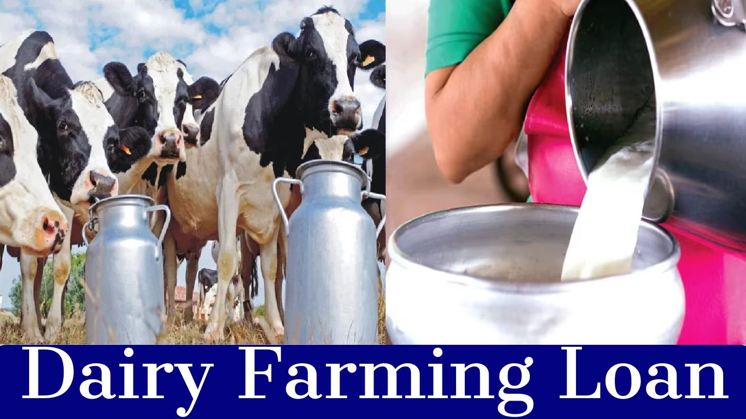 Dairy Farming Loan and Subsidy Scheme